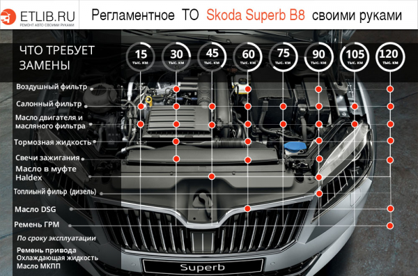 Правила обслуживания Skoda Superb V8